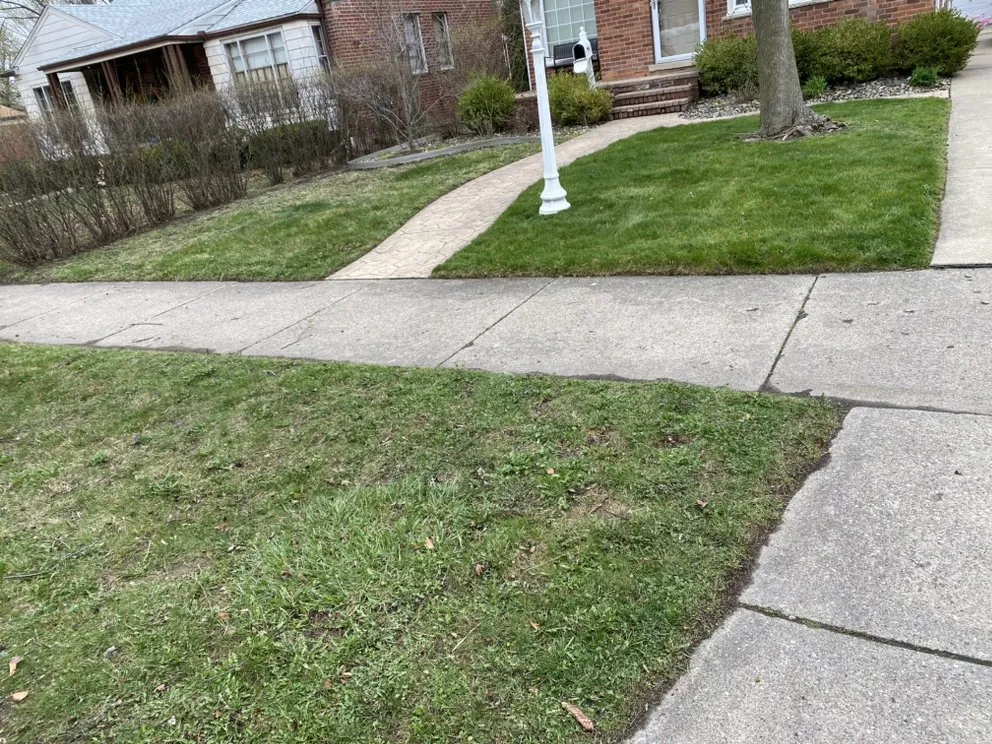 Reliable garden landscaping for residential properties in Detroit, MI by Jungle Kutz