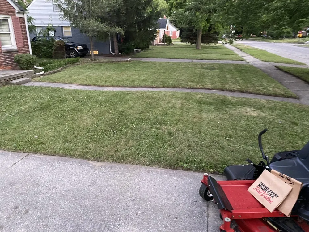 Affordable landscaping services experts serving Detroit, MI - Jungle Kutz