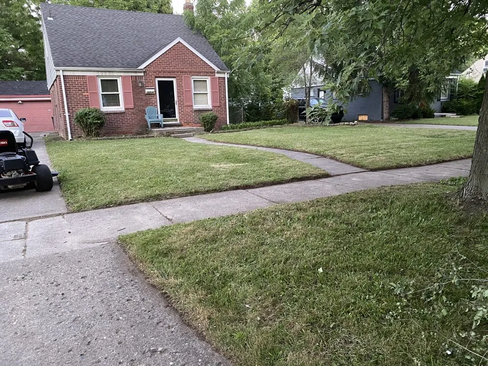 Top-rated outdoor landscaping in Detroit, MI - Jungle Kutz