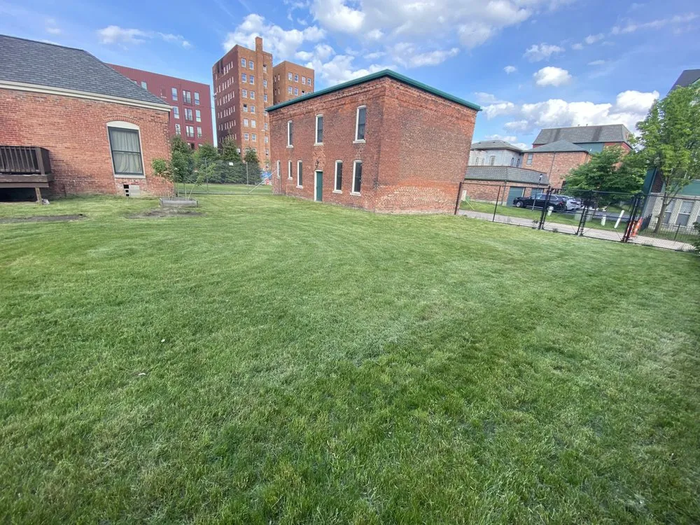 Top-rated lawn care service in Detroit, MI by Jungle Kutz