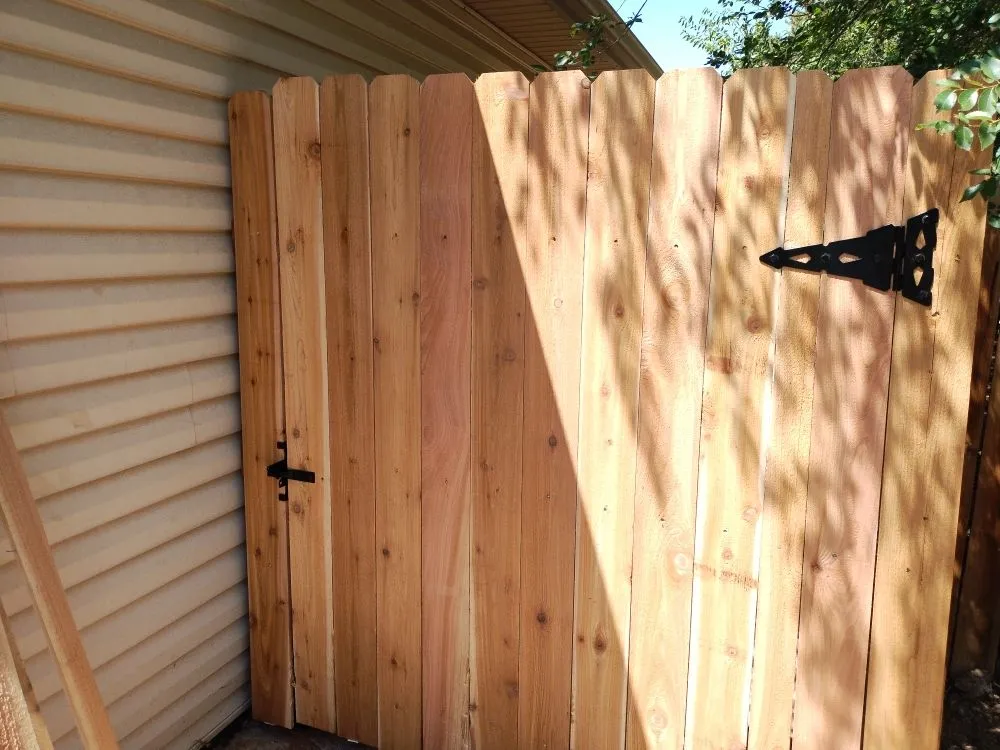 Local yard cleanup service experts serving Greenwood Village, CO - Jungle Landscape Pros