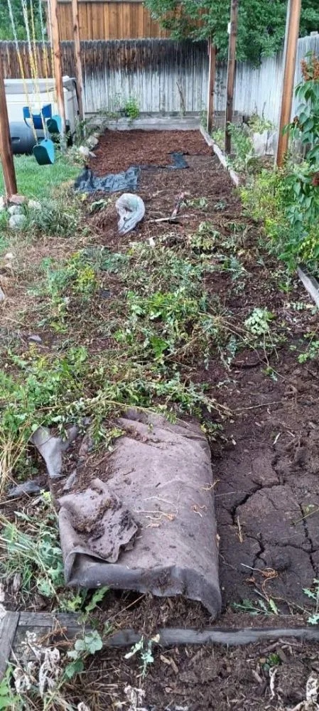 Expert outdoor landscaping in Greenwood Village, CO - Jungle Landscape Pros