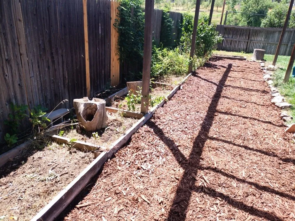 Affordable outdoor landscaping in Greenwood Village, CO by Jungle Landscape Pros