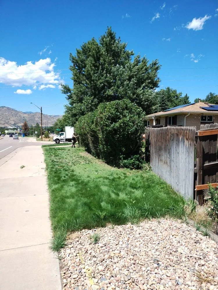 Reliable landscape installation experts serving Greenwood Village, CO - Jungle Landscape Pros