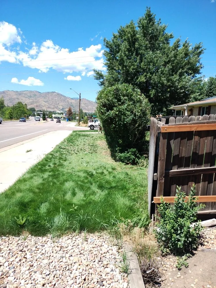 Trusted landscape design in Greenwood Village, CO - Jungle Landscape Pros