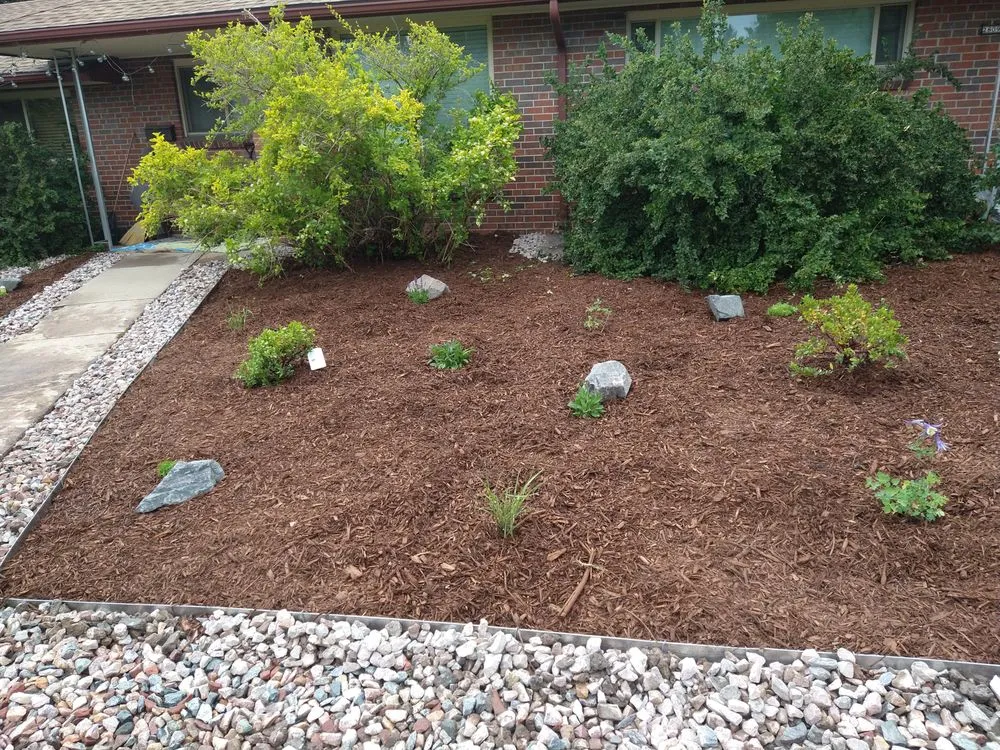 Reliable residential landscaping for outdoor upgrades across Greenwood Village, CO - Jungle Landscape Pros