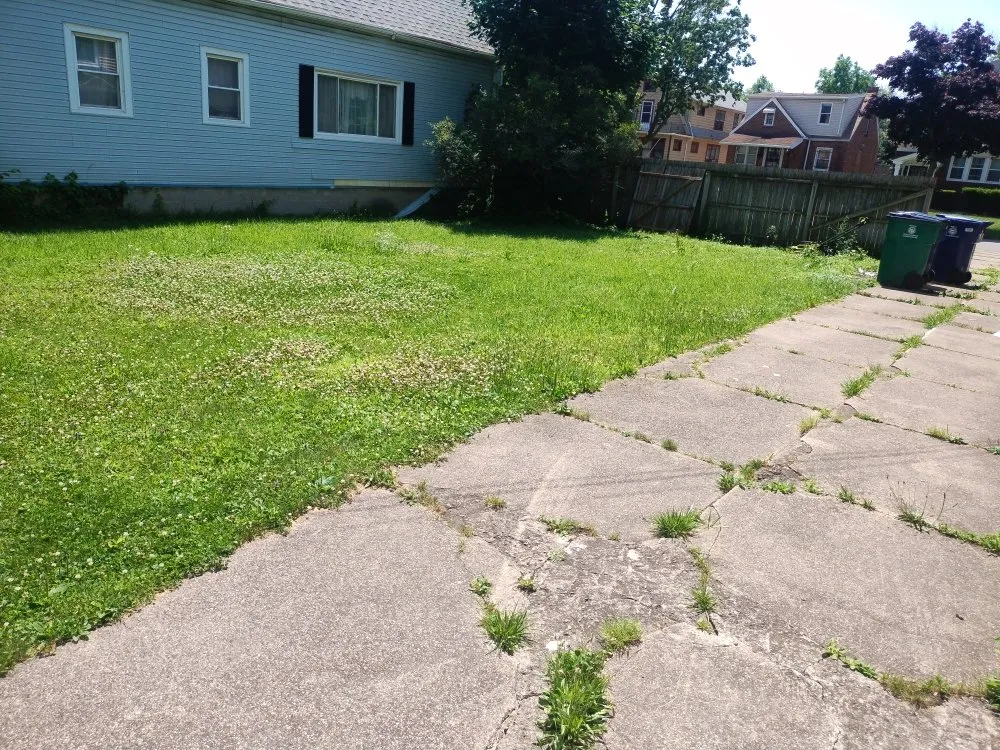 Custom lawn care service in Buffalo, NY - Jungle Landscaping