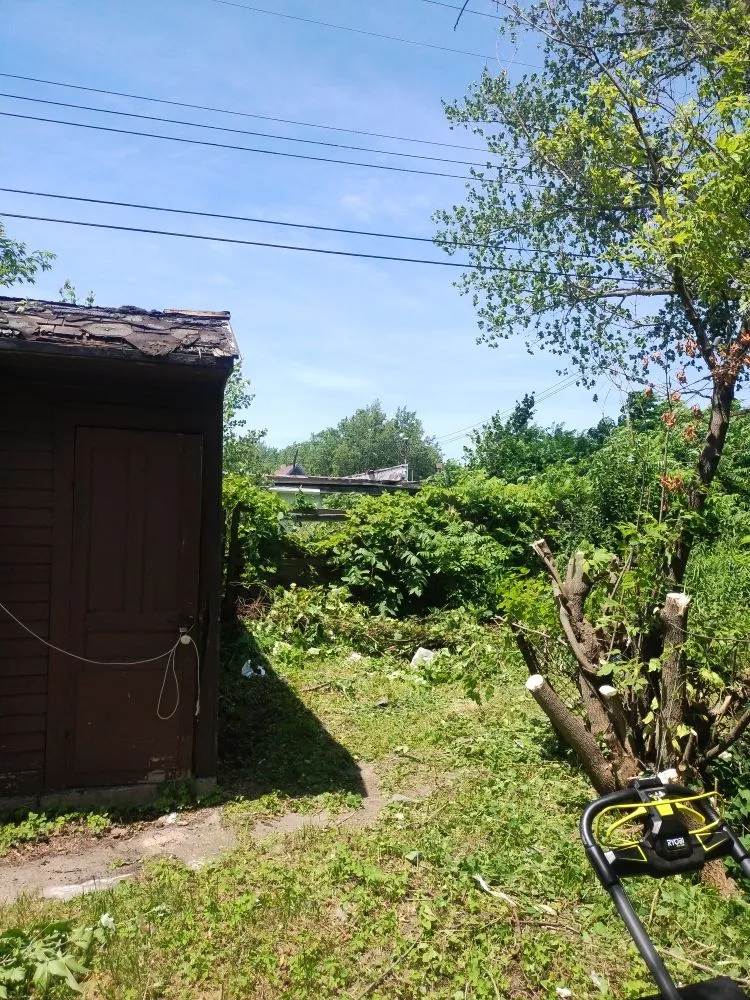 Expert outdoor landscaping in Buffalo, NY - Jungle Landscaping