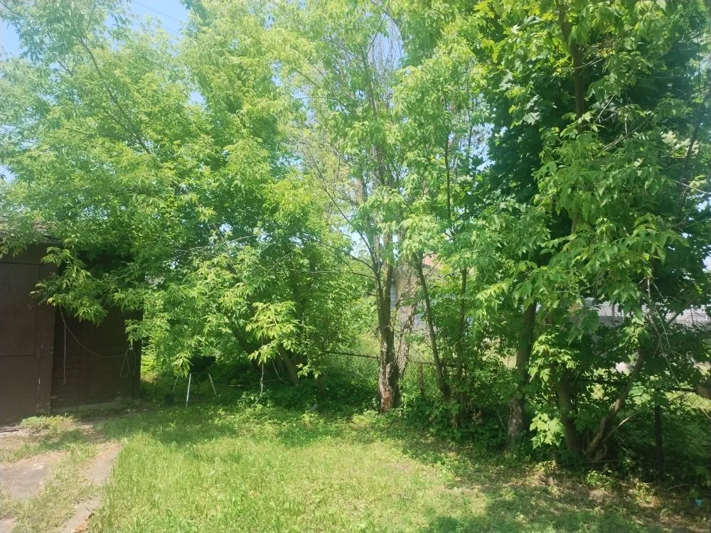 Custom landscape design in Buffalo, NY by Jungle Landscaping