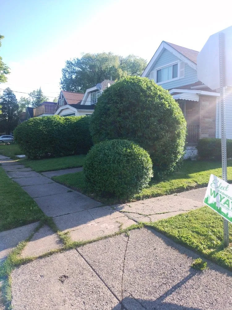 Trusted landscape installation for year-round maintenance in Buffalo, NY by Jungle Landscaping