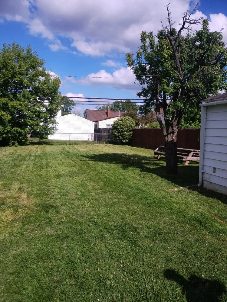 Trusted landscaping services in Buffalo, NY - Jungle Landscaping