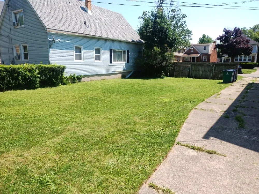 Local landscaping services in Buffalo, NY by Jungle Landscaping