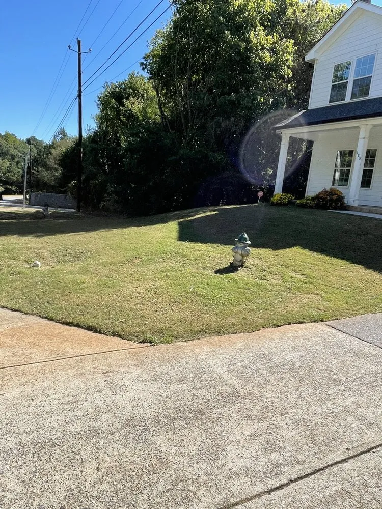 Expert landscape installation for residential properties in Athens, GA by Jungle Lawn Service