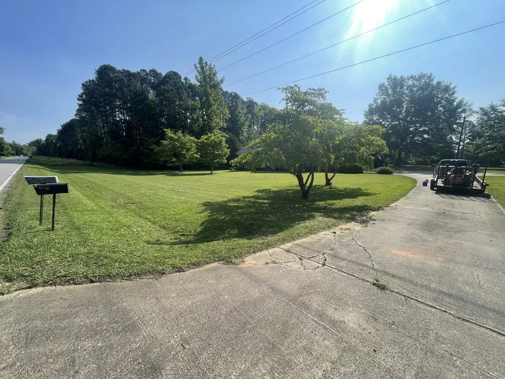 Local landscape design for year-round maintenance across Athens, GA - Jungle Lawn Service