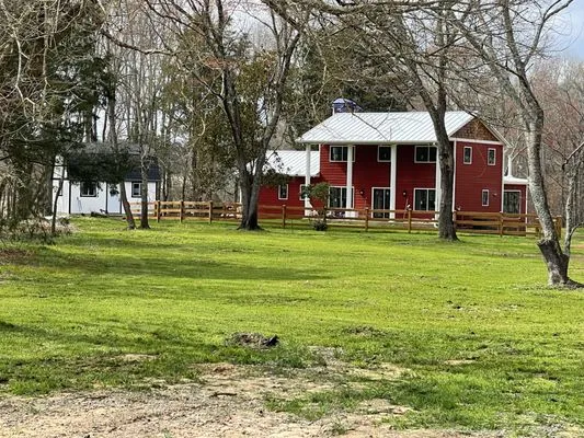 Jungle Lawn Service Logo