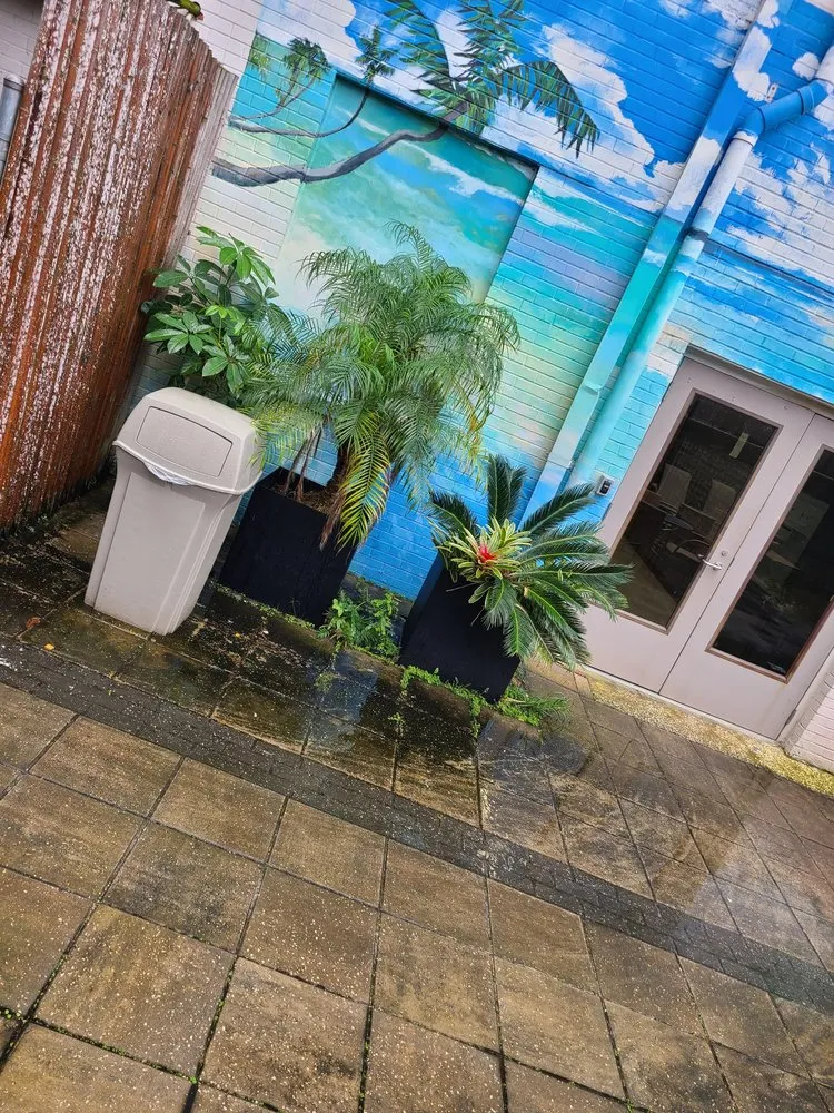 Affordable lawn mowing service with custom design across Jacksonville, FL - Jungle Life Landscape