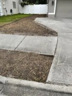 Custom landscaping services near you in Jacksonville, FL by Jungle Life Landscape