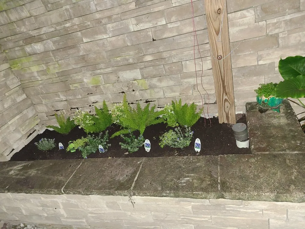 Expert landscape installation experts serving Jacksonville, FL - Jungle Life Landscape