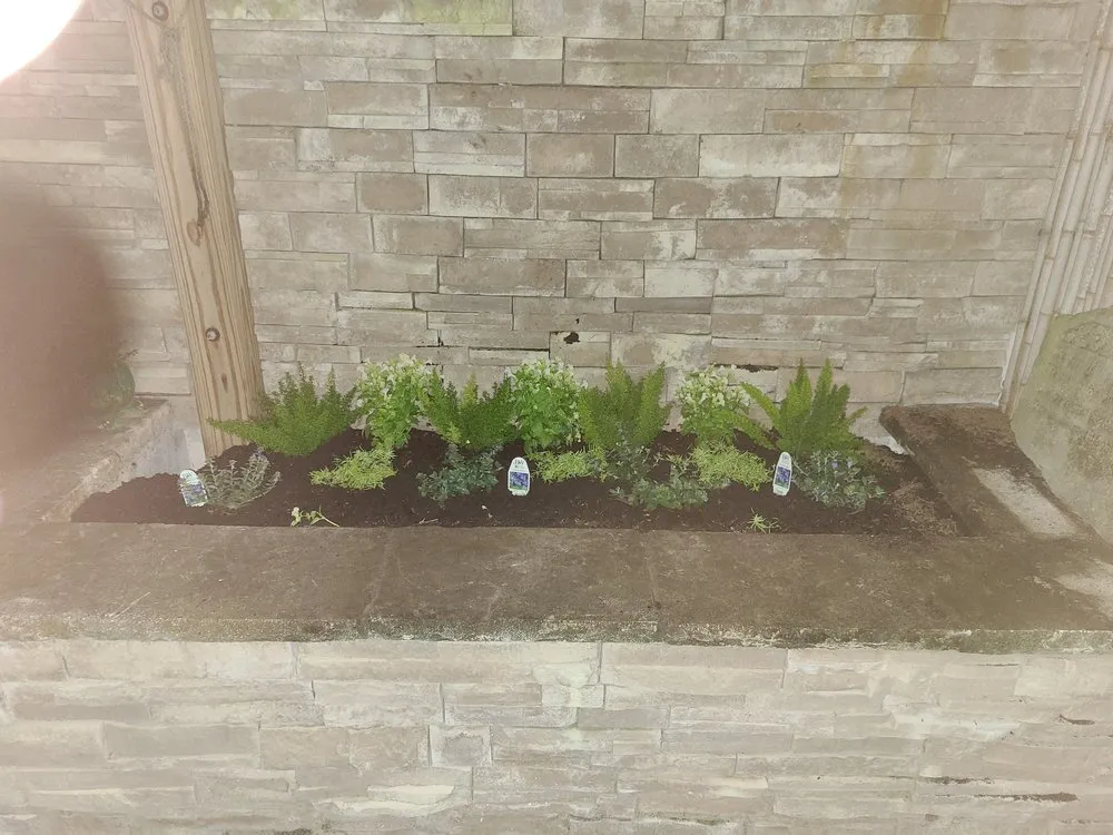 Local landscaping services in Jacksonville, FL - Jungle Life Landscape