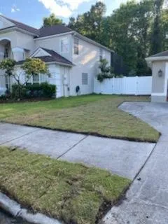Affordable residential landscaping in Jacksonville, FL - Jungle Life Landscape