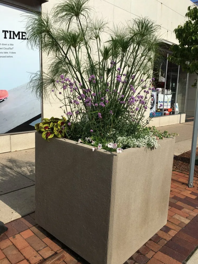 Affordable outdoor landscaping with custom design across Salem, OR - Jungle