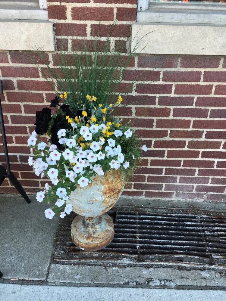 Reliable landscape design in Salem, OR - Jungle