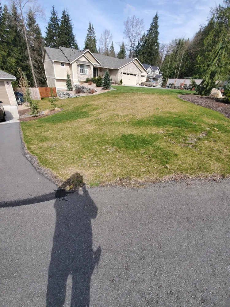 Local landscaping services for homes in Kirkland, WA by Jungle Tamers