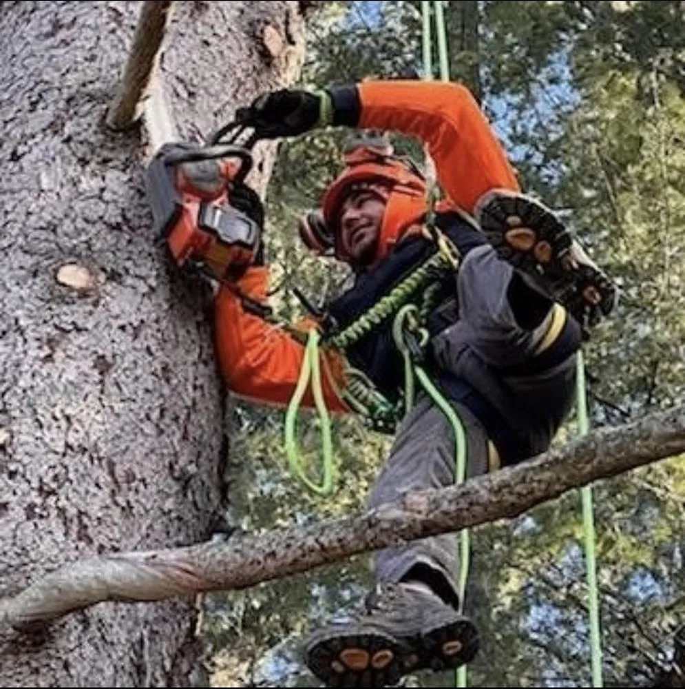 Affordable outdoor landscaping in Philadelphia, PA - Jungle Tree Landscaping