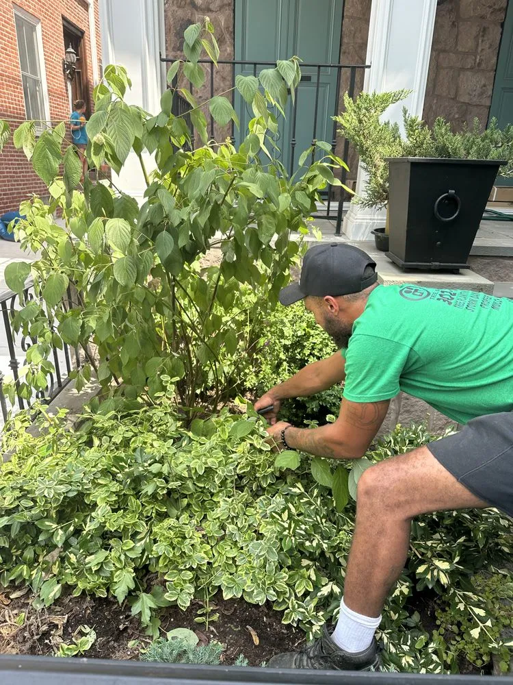 Expert garden landscaping in Philadelphia, PA by Jungle Tree Landscaping