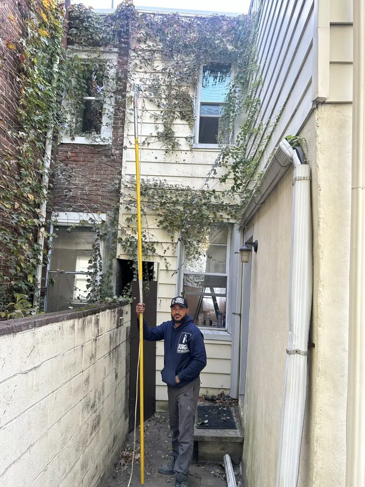 Local outdoor landscaping experts serving Philadelphia, PA - Jungle Tree Landscaping