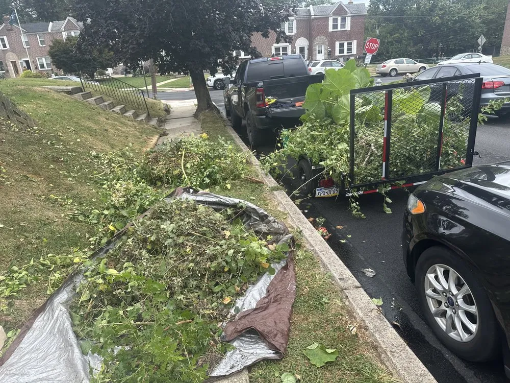 Affordable landscape installation in Philadelphia, PA by Jungle Tree Landscaping