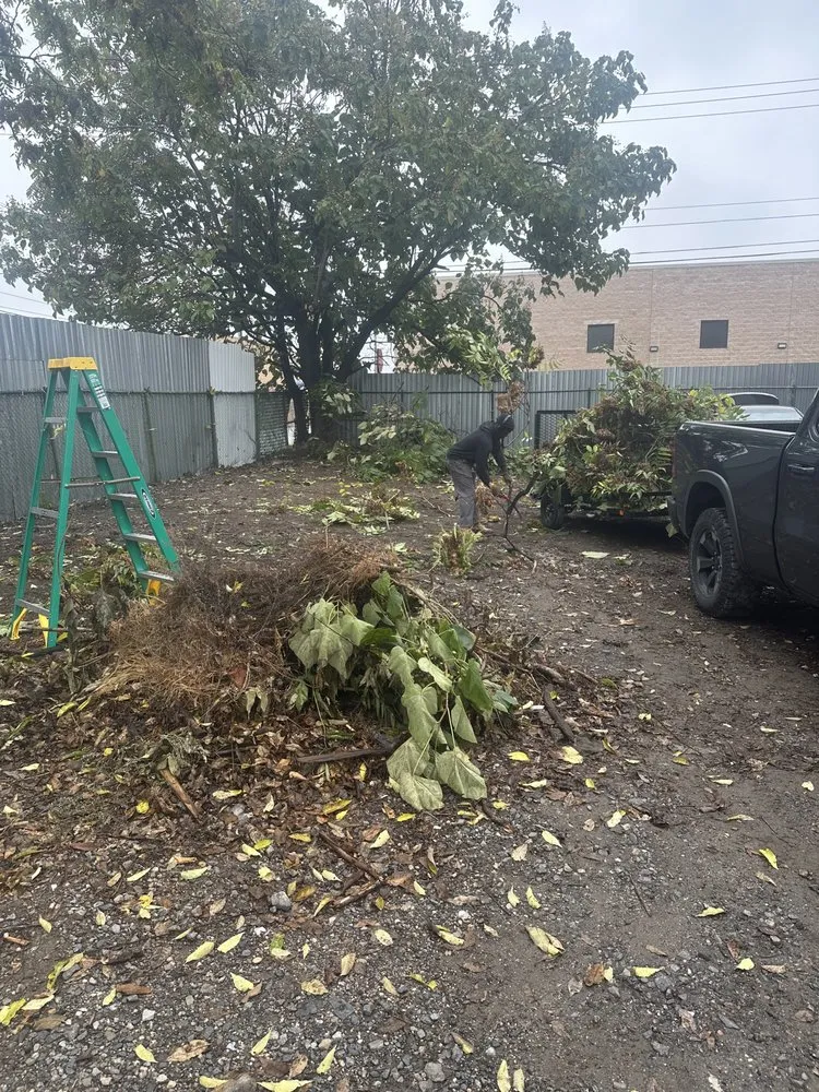 Affordable lawn mowing service for homes in Philadelphia, PA by Jungle Tree Landscaping