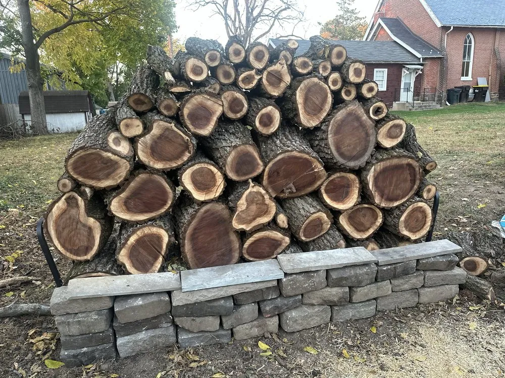 Affordable lawn mowing service in Philadelphia, PA - Jungle Tree Landscaping