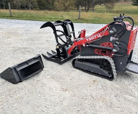 Jungle Tree Landscaping Logo