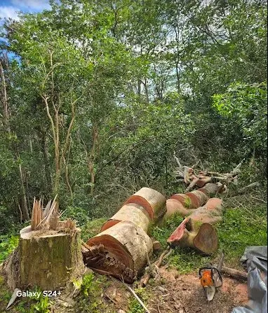 Expert landscaping services near you across Pāhoa, HI - Jungle Warfare