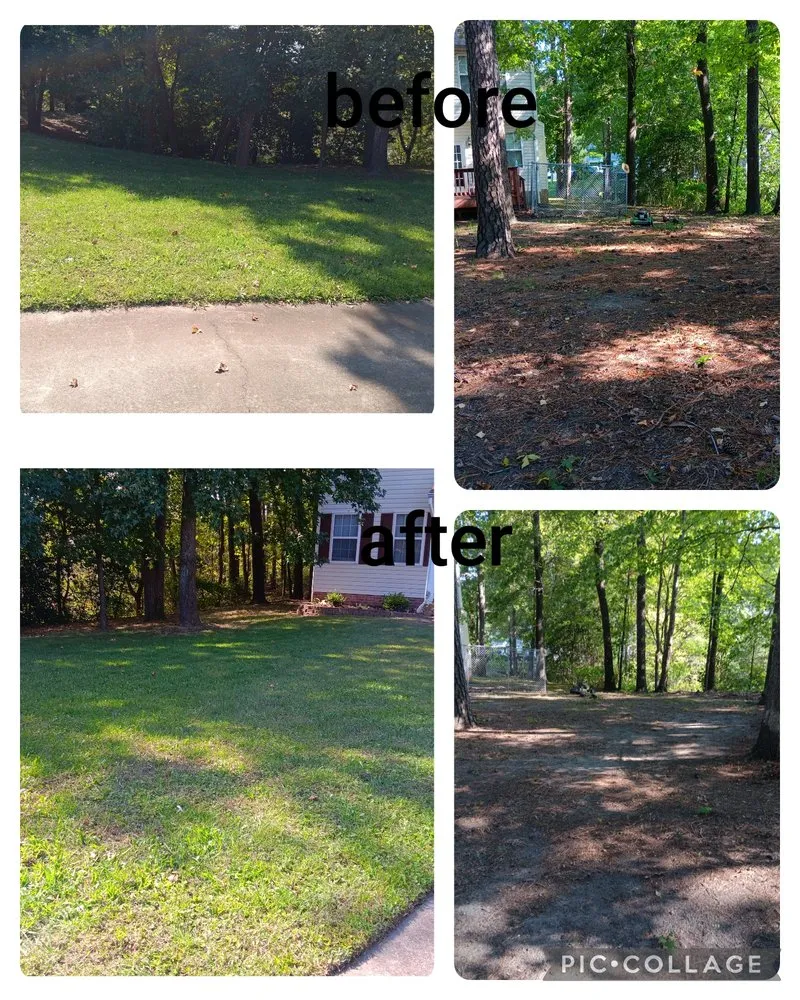 Affordable yard cleanup service in Portsmouth, VA by Junie's Lawncare