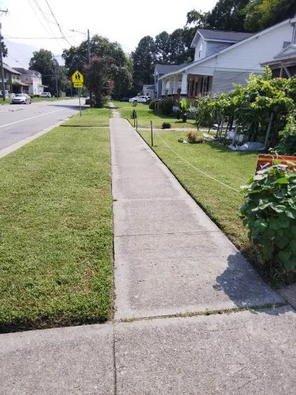 Custom yard maintenance experts serving Portsmouth, VA - Junie's Lawncare