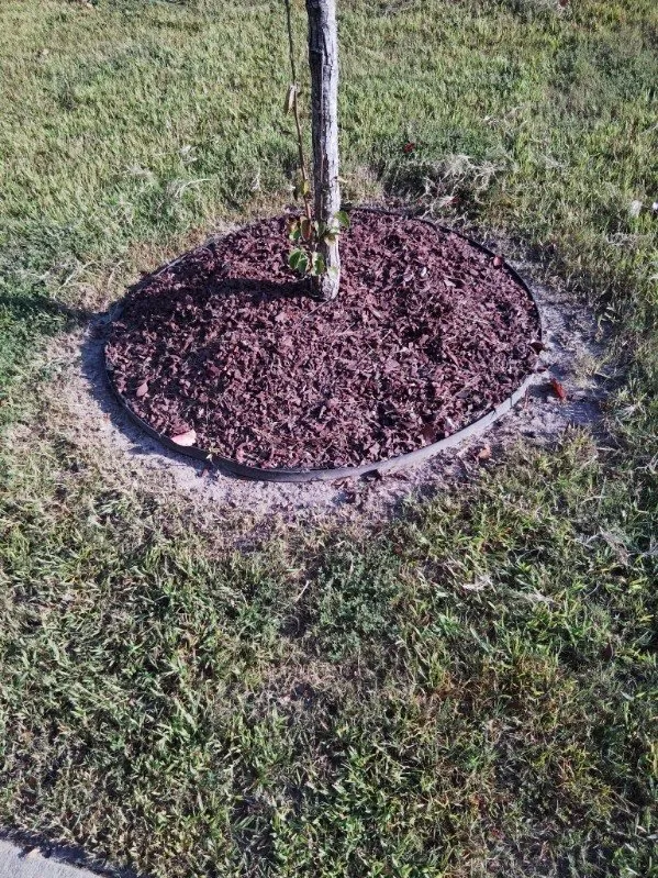 Expert yard cleanup service in Portsmouth, VA by Junie's Lawncare