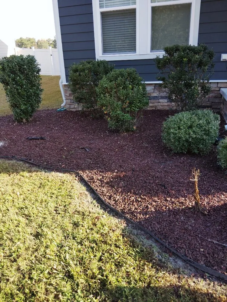 Top-rated outdoor landscaping in Portsmouth, VA - Junie's Lawncare