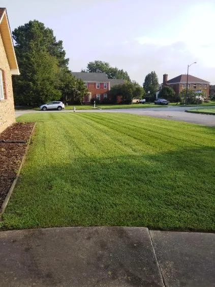 Reliable landscaping services in Portsmouth, VA - Junie's Lawncare