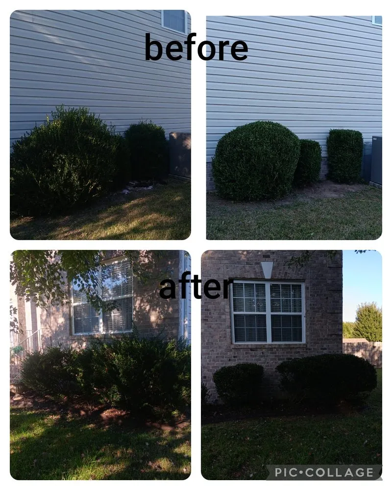 Professional landscape design for year-round maintenance across Portsmouth, VA - Junie's Lawncare