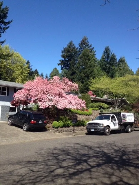 Custom yard cleanup service for homes across Beaverton, OR - Junior Landscape Maintenance