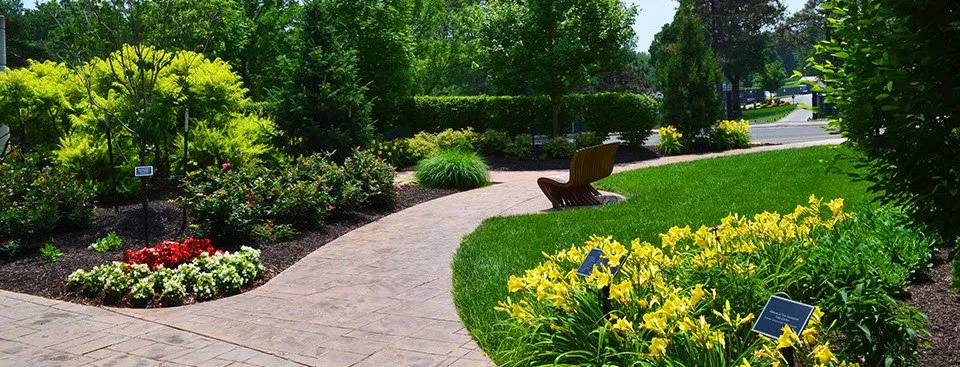 Top-rated outdoor landscaping experts serving Bedford, MA - Junior Landscaping