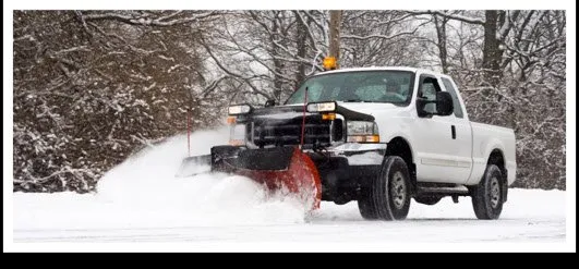 Local landscaping services in Bedford, MA - Junior Landscaping