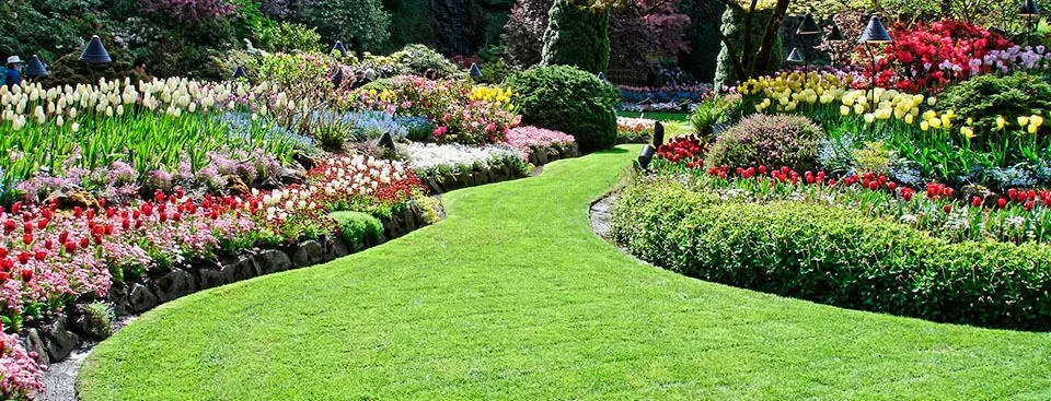 Top-rated yard cleanup service for beautiful yards across Bedford, MA - Junior Landscaping