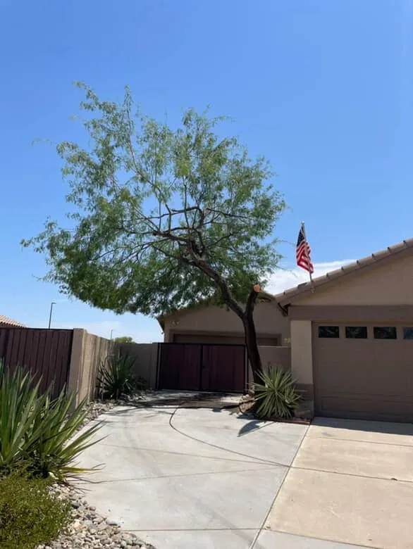 Affordable residential landscaping for residential properties across Chandler, AZ - Junior Landscaping