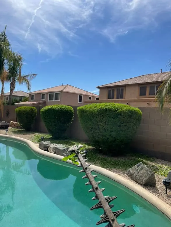 Top-rated lawn care service in Chandler, AZ by Junior Landscaping