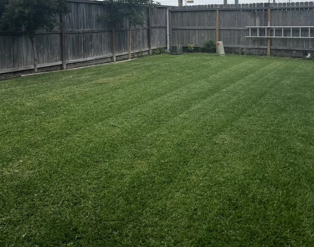 Reliable residential landscaping in Channelview, TX - Junior Landscaping