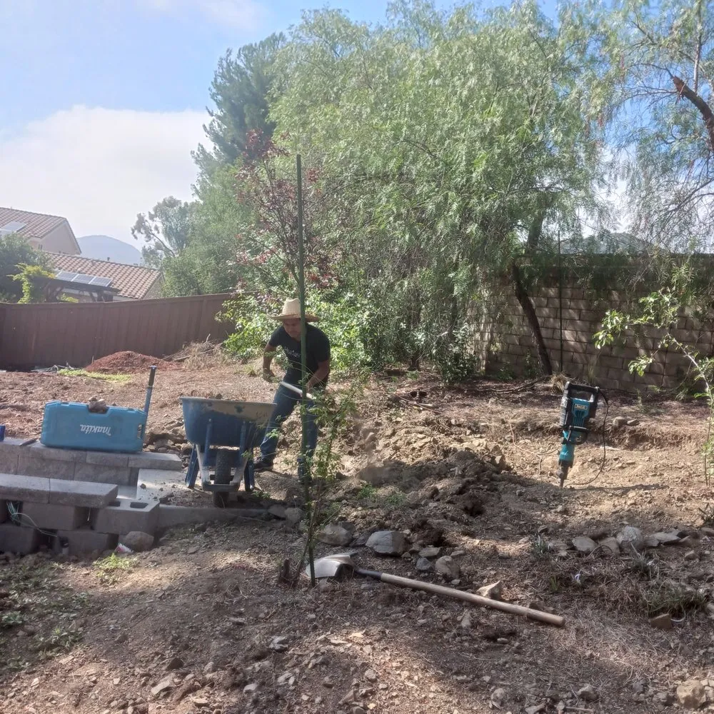 Custom lawn care service for outdoor upgrades in Fallbrook, CA by Junior Landscaping