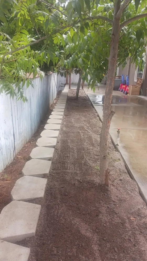 Custom yard maintenance in Fallbrook, CA by Junior Landscaping